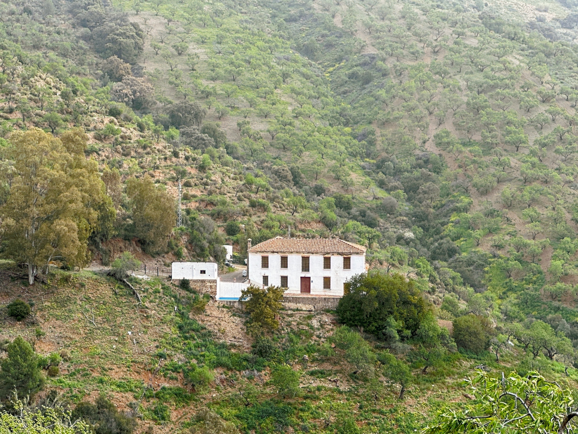 Country house in Malaga East