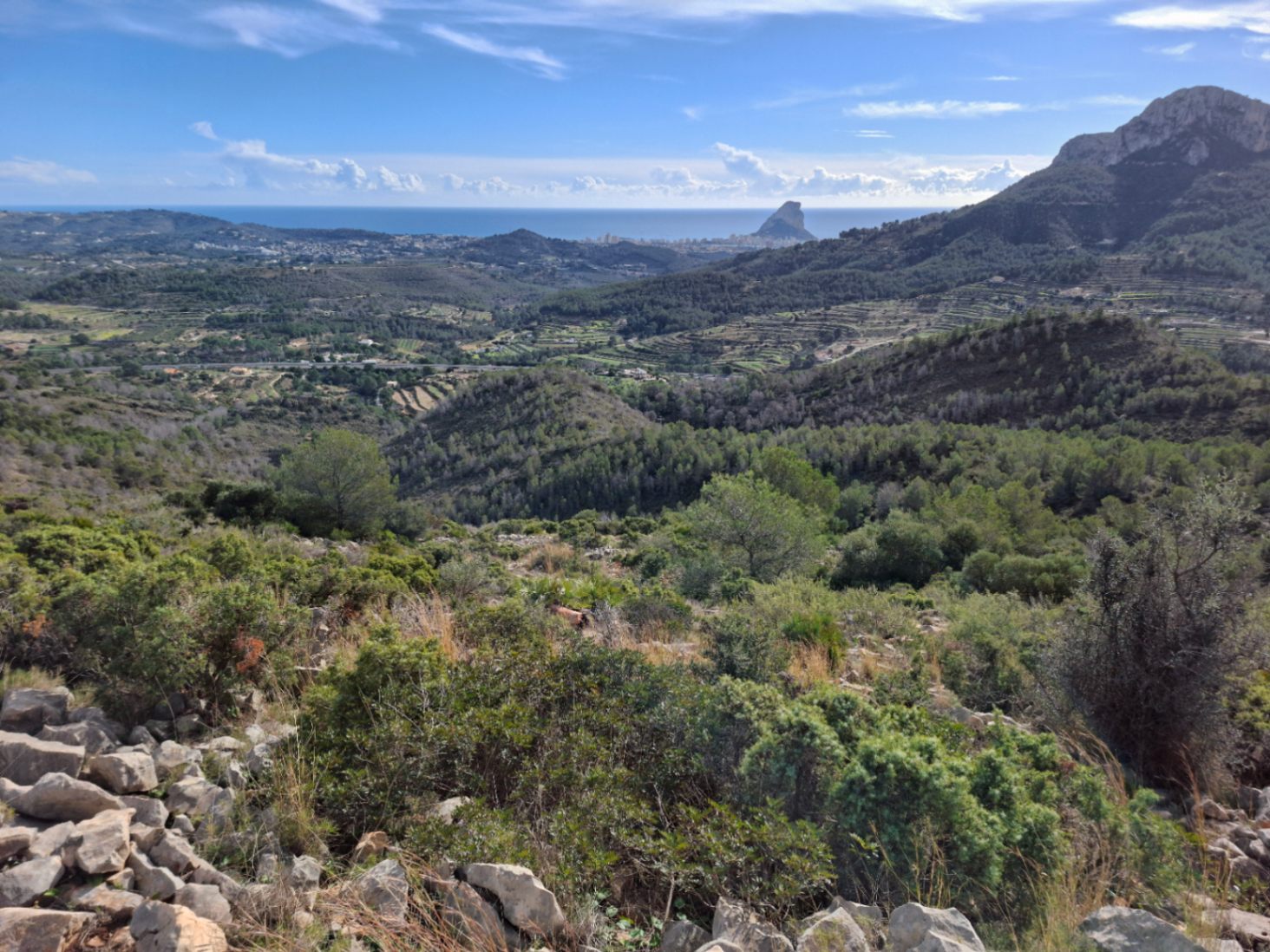 Moradia com 8 quartos em Alicante, Espanha – Foto 23
