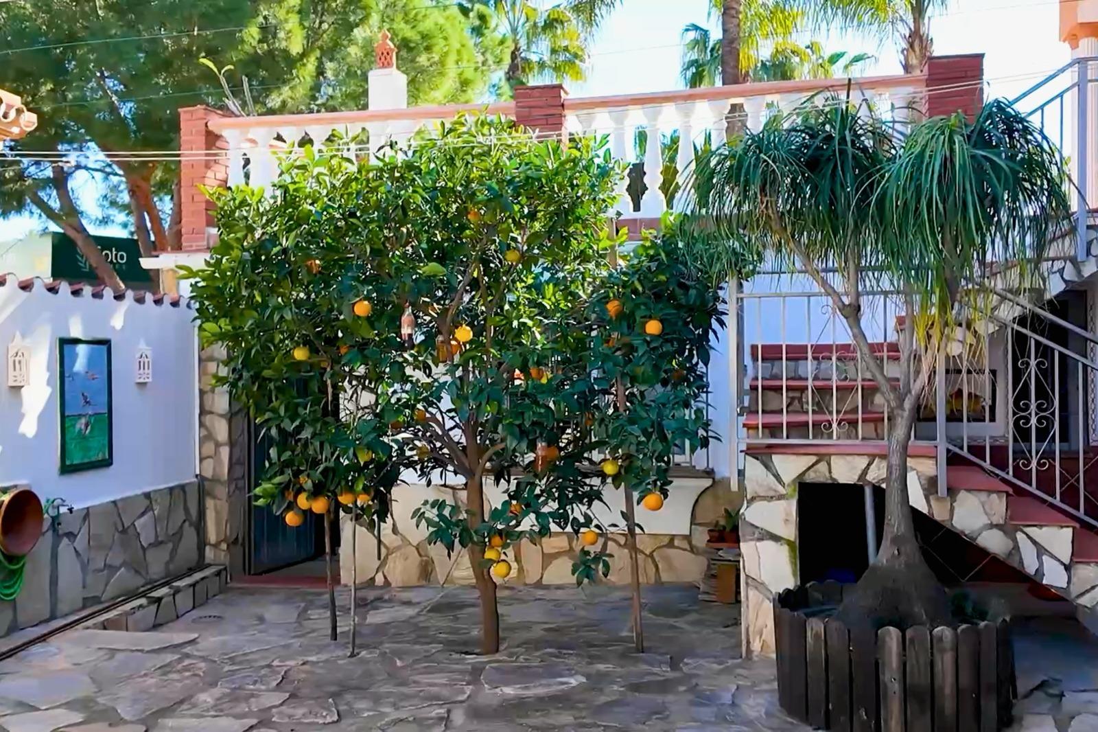 5 Bedroom Villa in Mijas - Photo 36