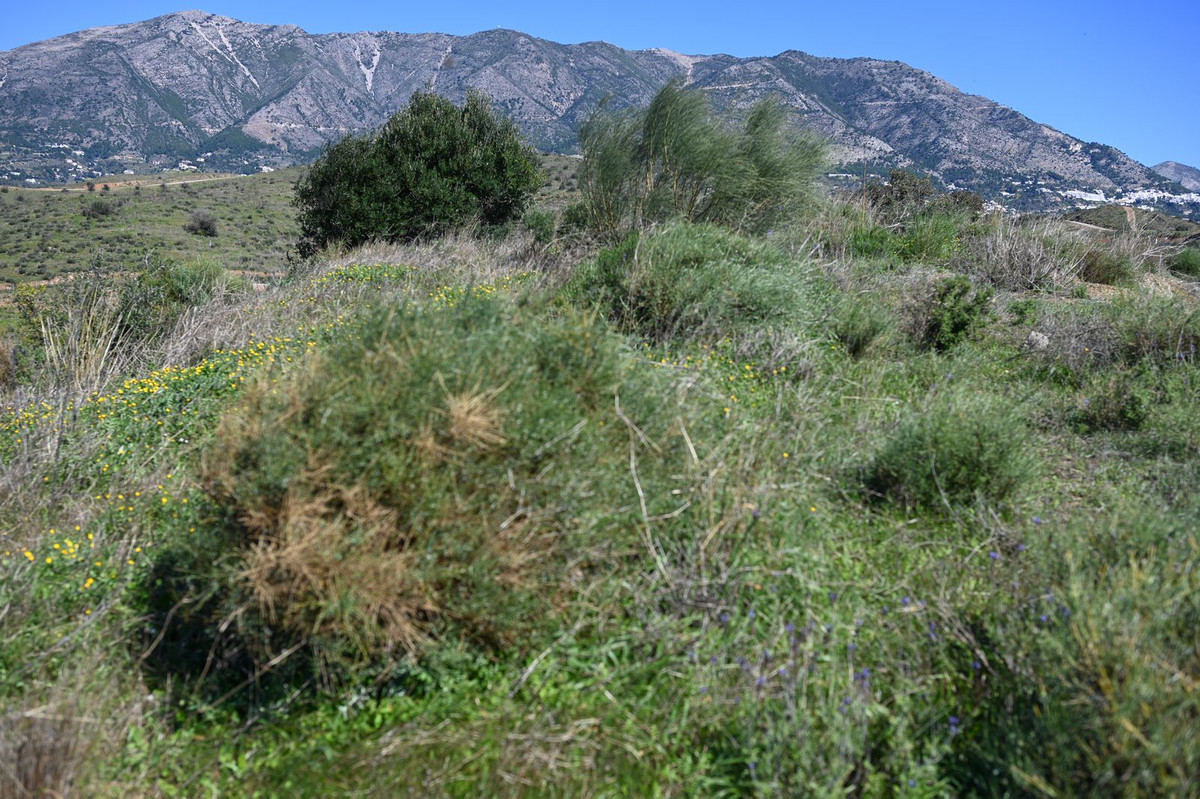 885 m² Plot in Mijas - Photo 6