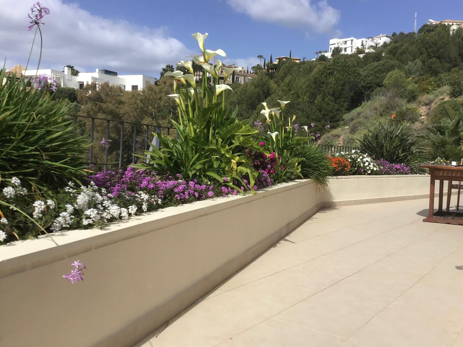 3 Bedroom Apartment in Marbella - Photo 19