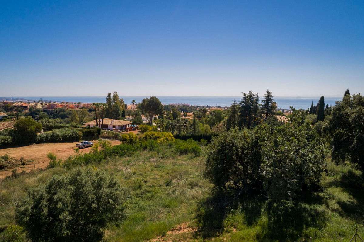 Plot in Sierra Blanca