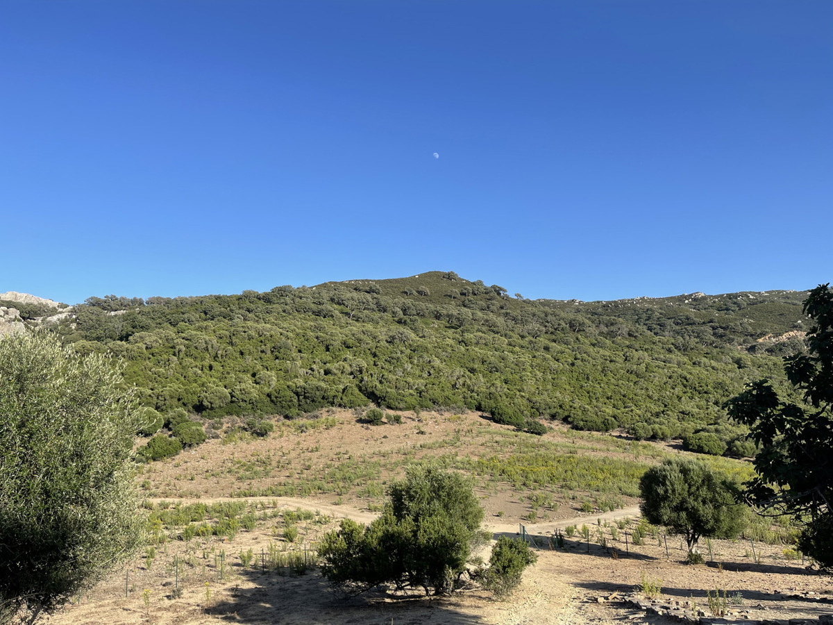 Moradia com 2 quartos com piscina em Cádiz, Espanha – Foto 29