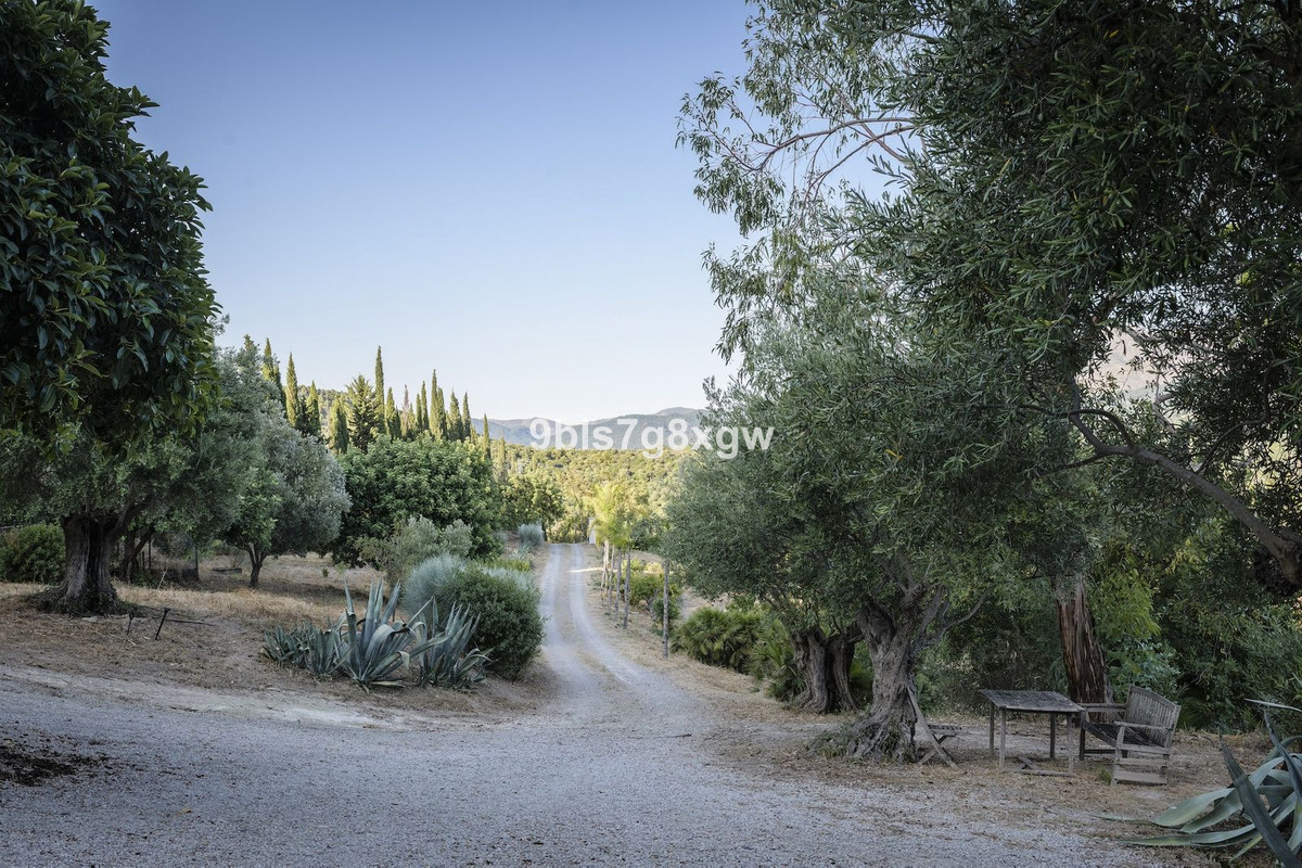 9 Bedroom Country house in Gaucín - Photo 39