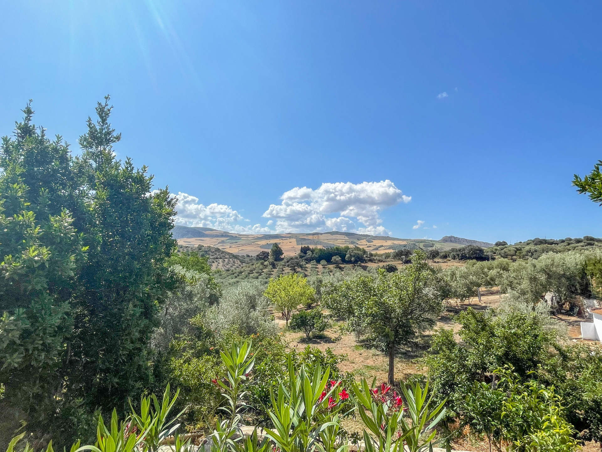 6 Bedroom Country house in Antequera - Photo 5