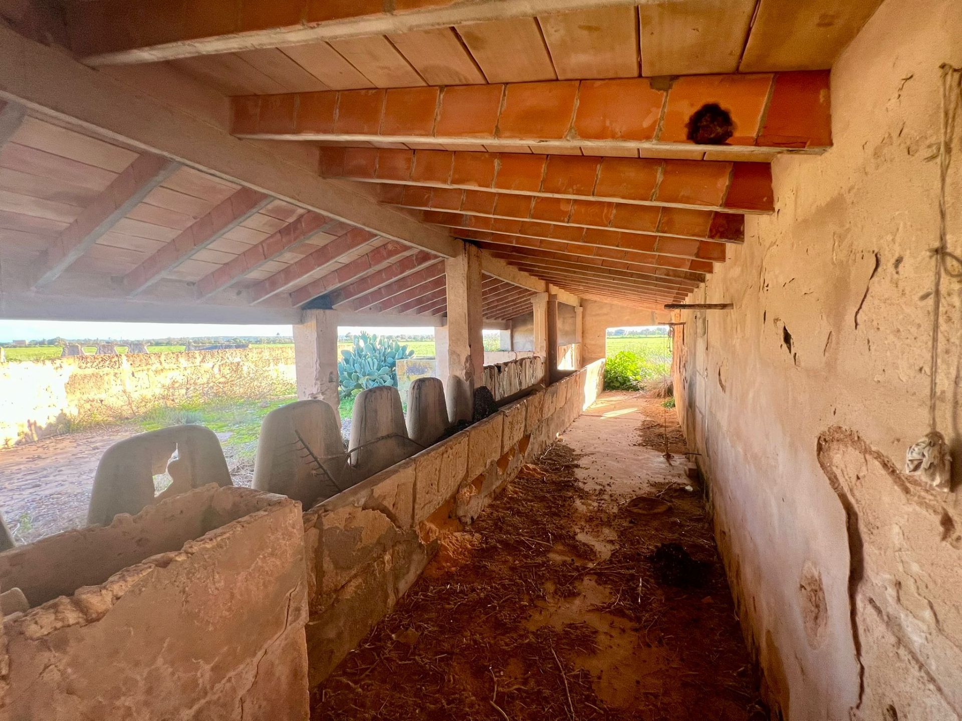 Villa a Baleari, Spagna – Foto 13