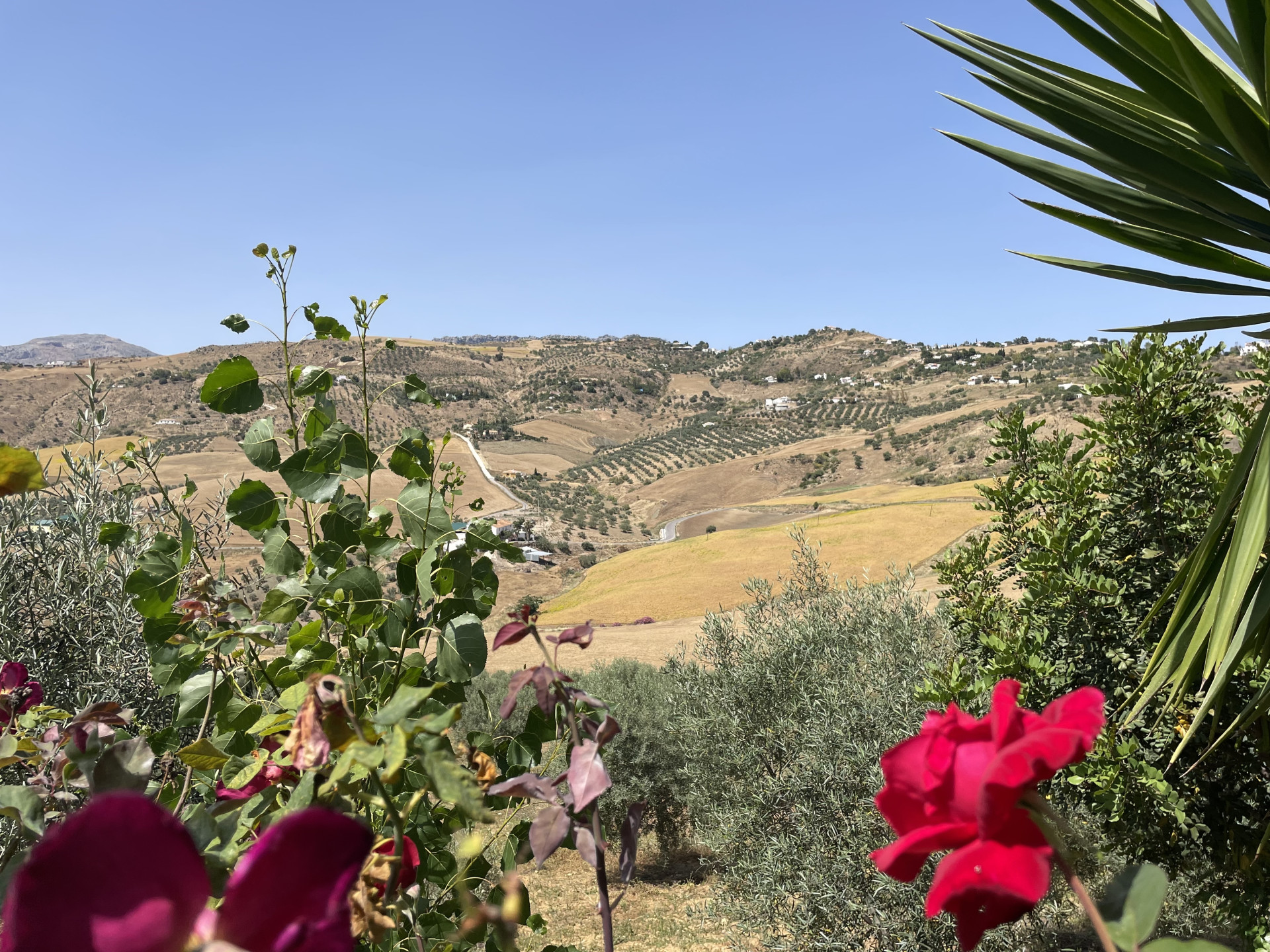 14 Bedroom Country house in Villanueva de la Concepción - Photo 42