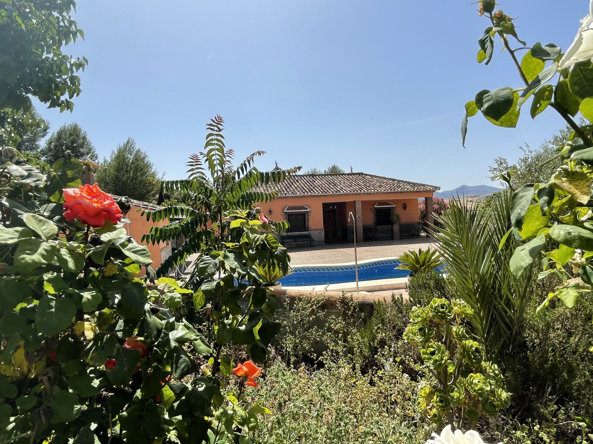 14 Bedroom Country house in Villanueva de la Concepción - Photo 45