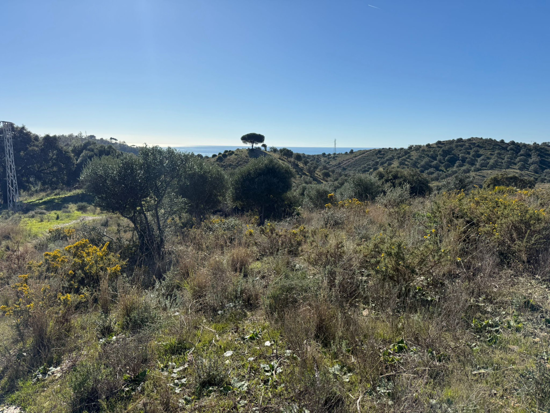 90,882 m² Plot in Mijas - Photo 7