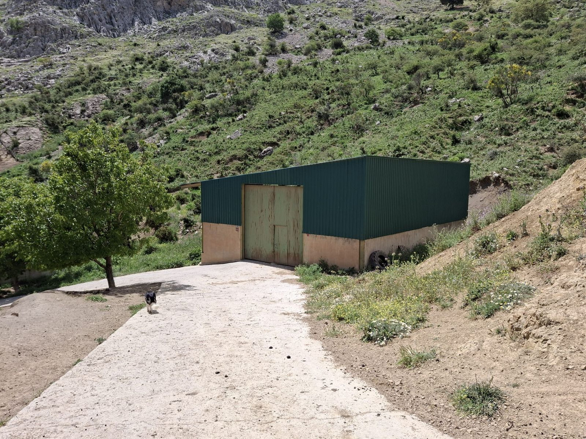680,000 m² Plot in Alfarnatejo - Photo 19