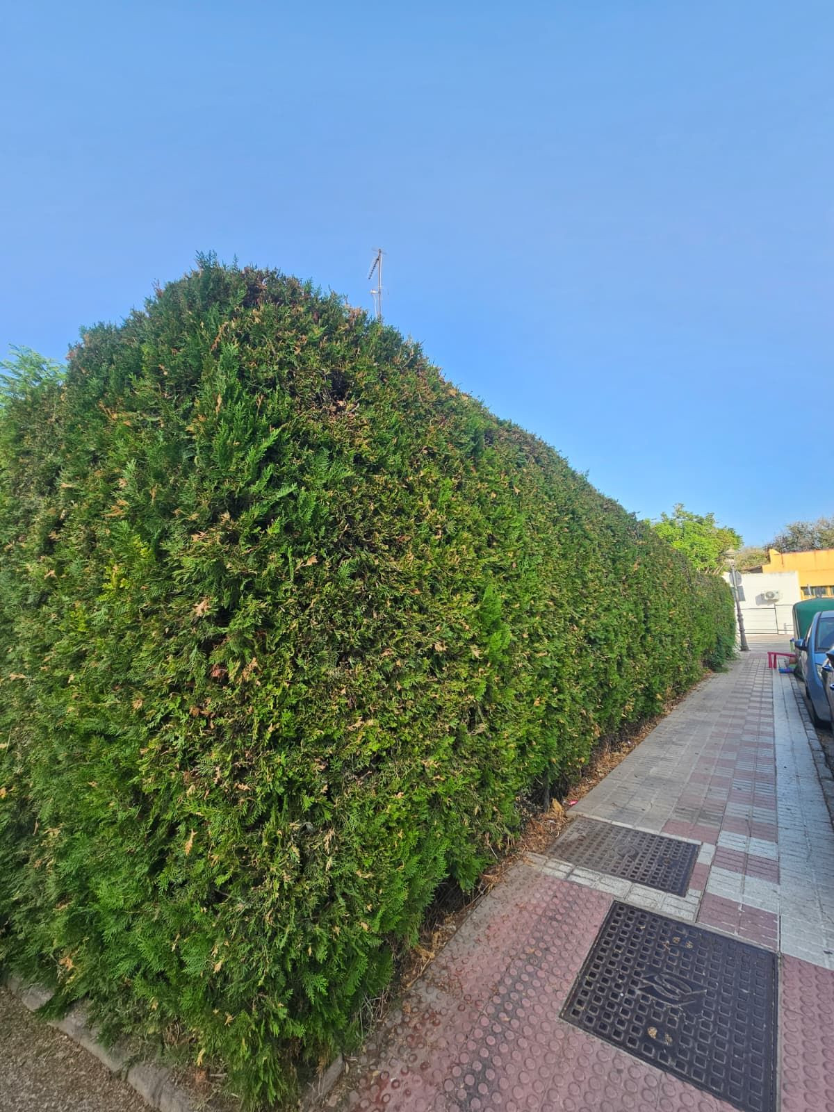 5 Bedroom Villa in Estepona - Photo 13