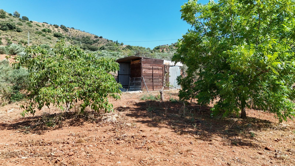 3 Bedroom Villa in Coín - Photo 6