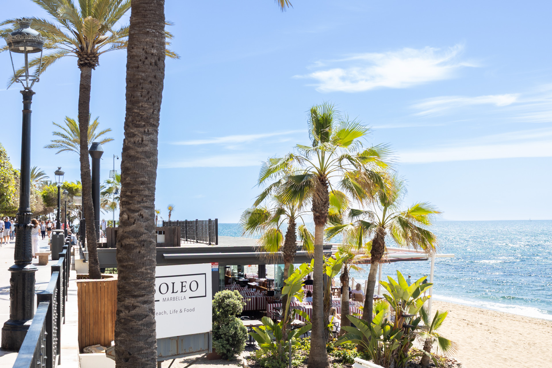 1 Bedroom Apartment in Marbella - Photo 19