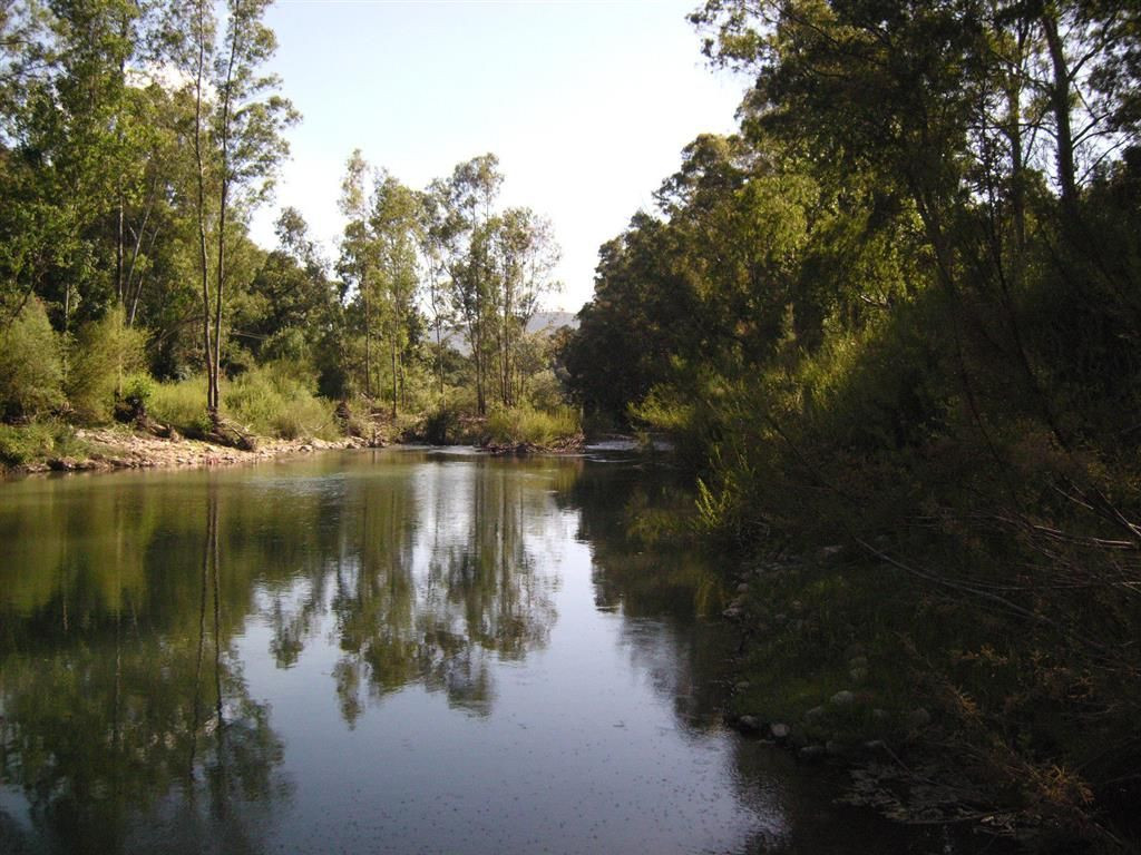 300,000 m² Plot in Cortes de la Frontera