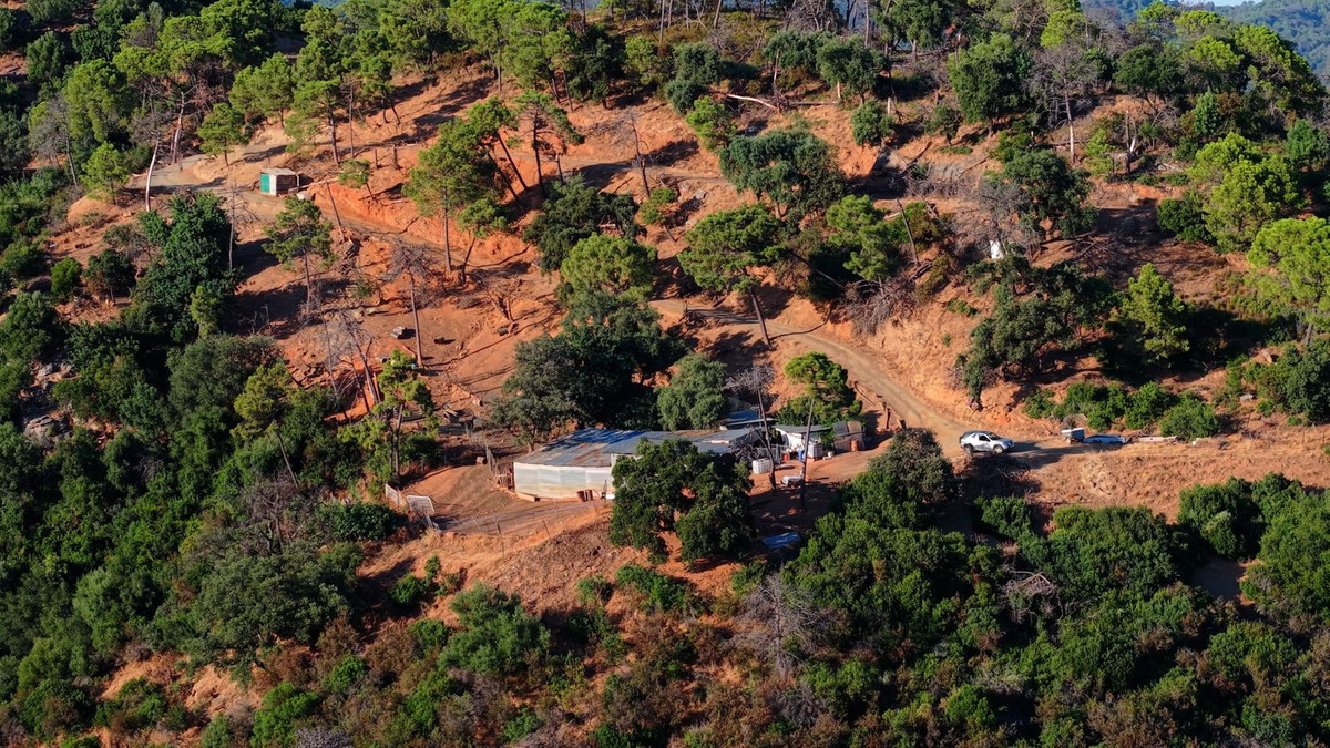 615,000 m² Plot in Estepona - Photo 9