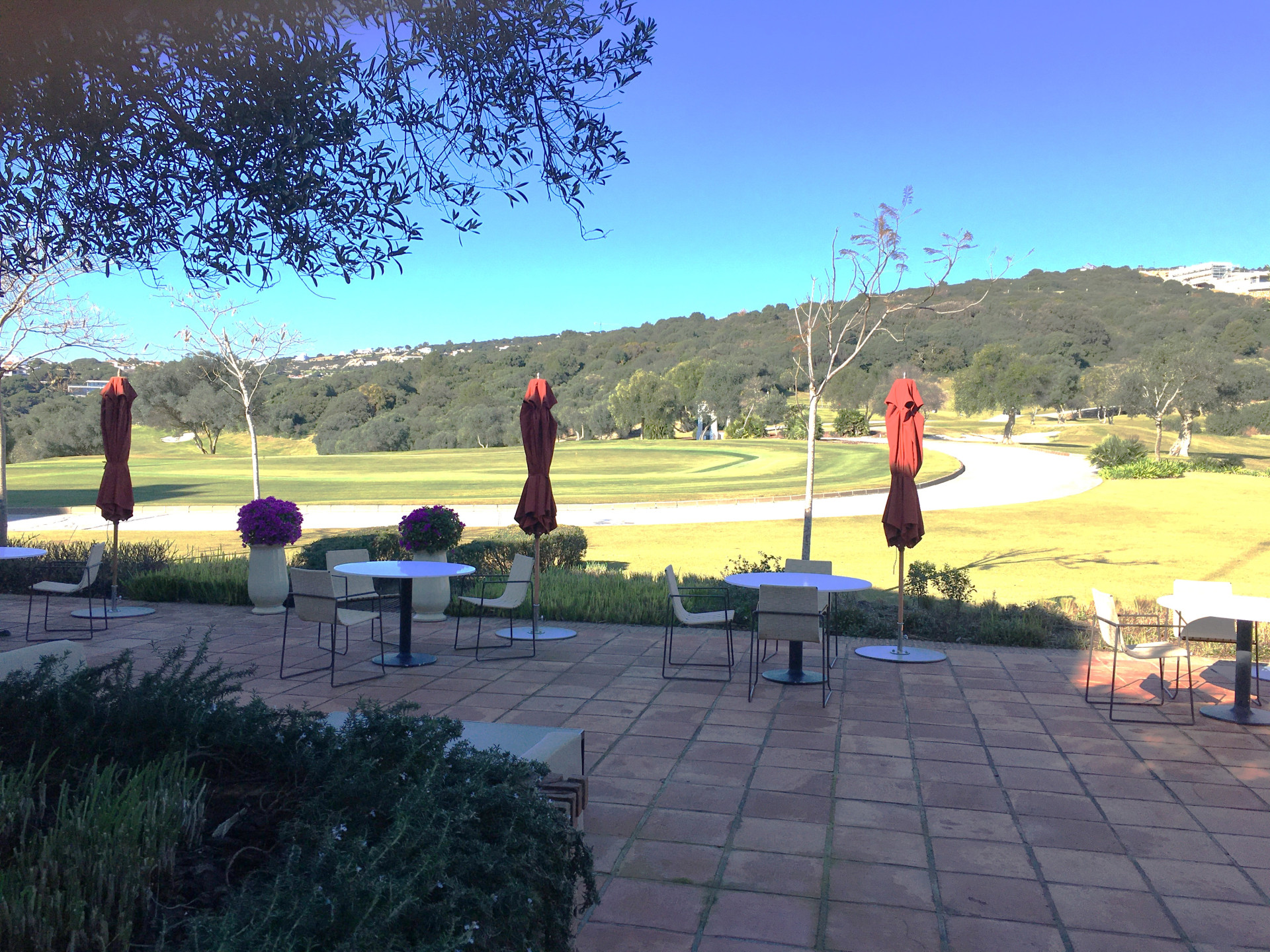 3,376 m² Plot in Sotogrande - Photo 20