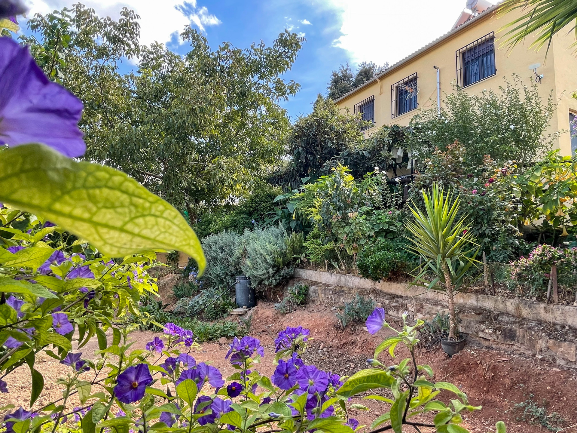 Moradia com 4 quartos com piscina em Córdoba, Espanha – Foto 20