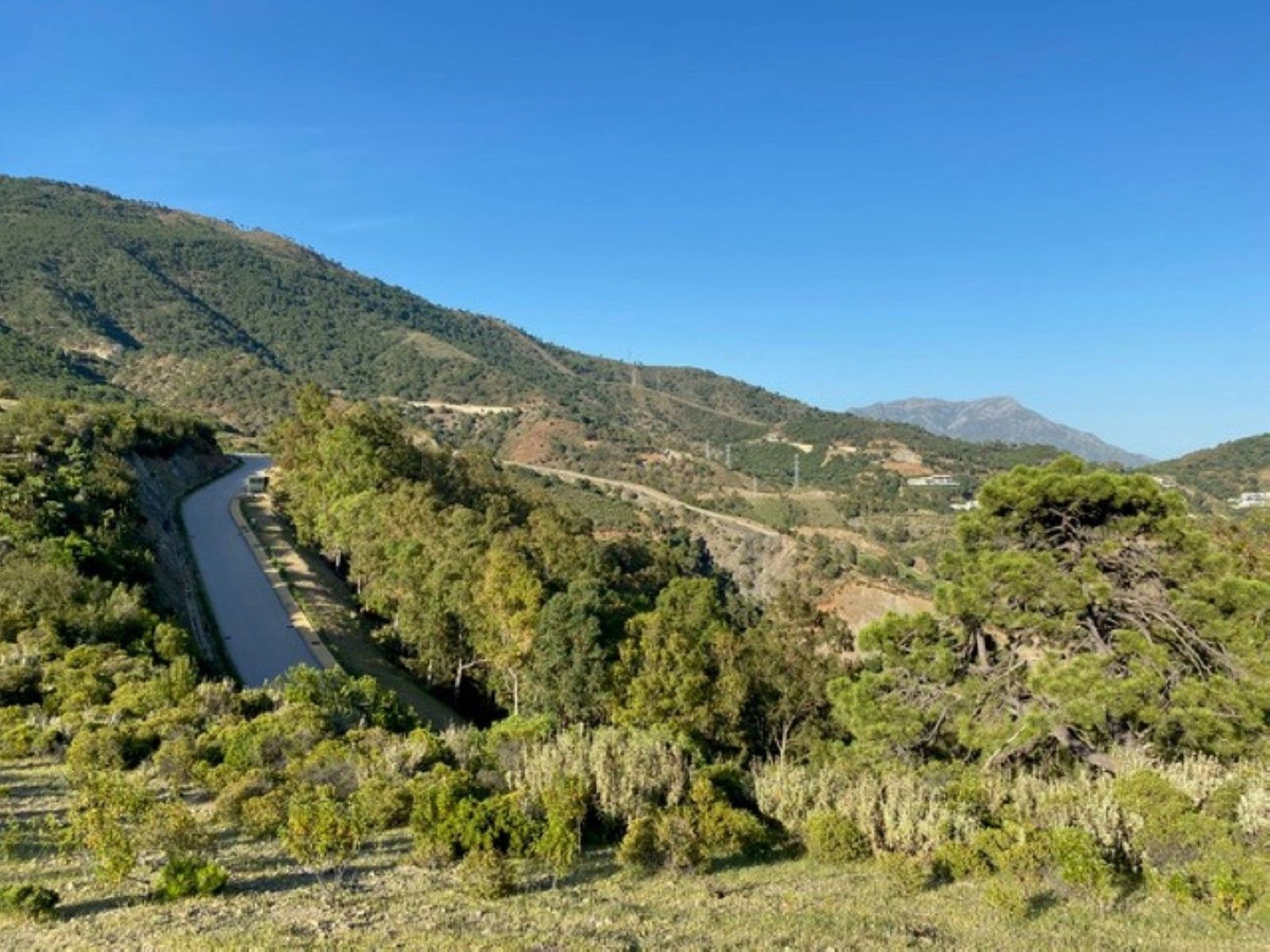 12,563 m² Plot in Benahavís - Photo 21