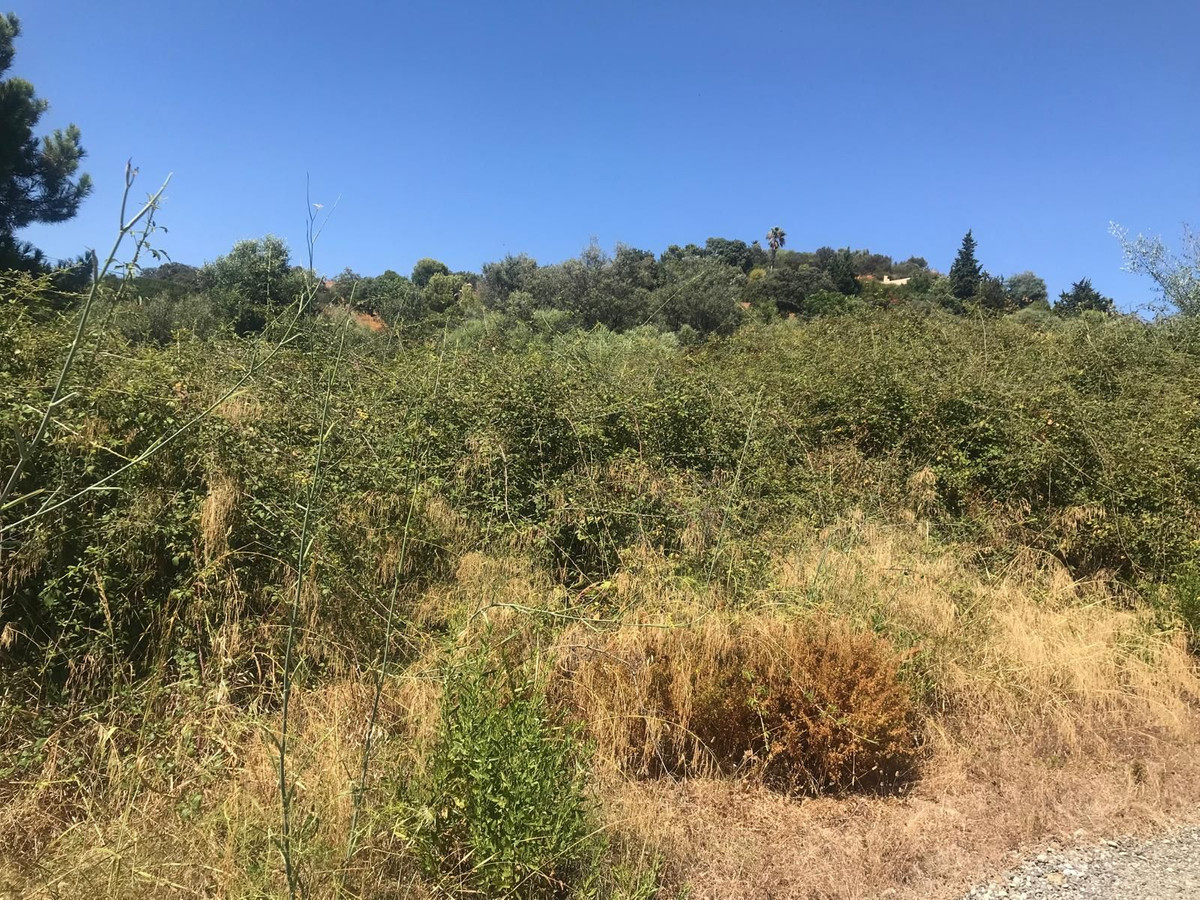 27,265 m² Plot in Estepona - Photo 7