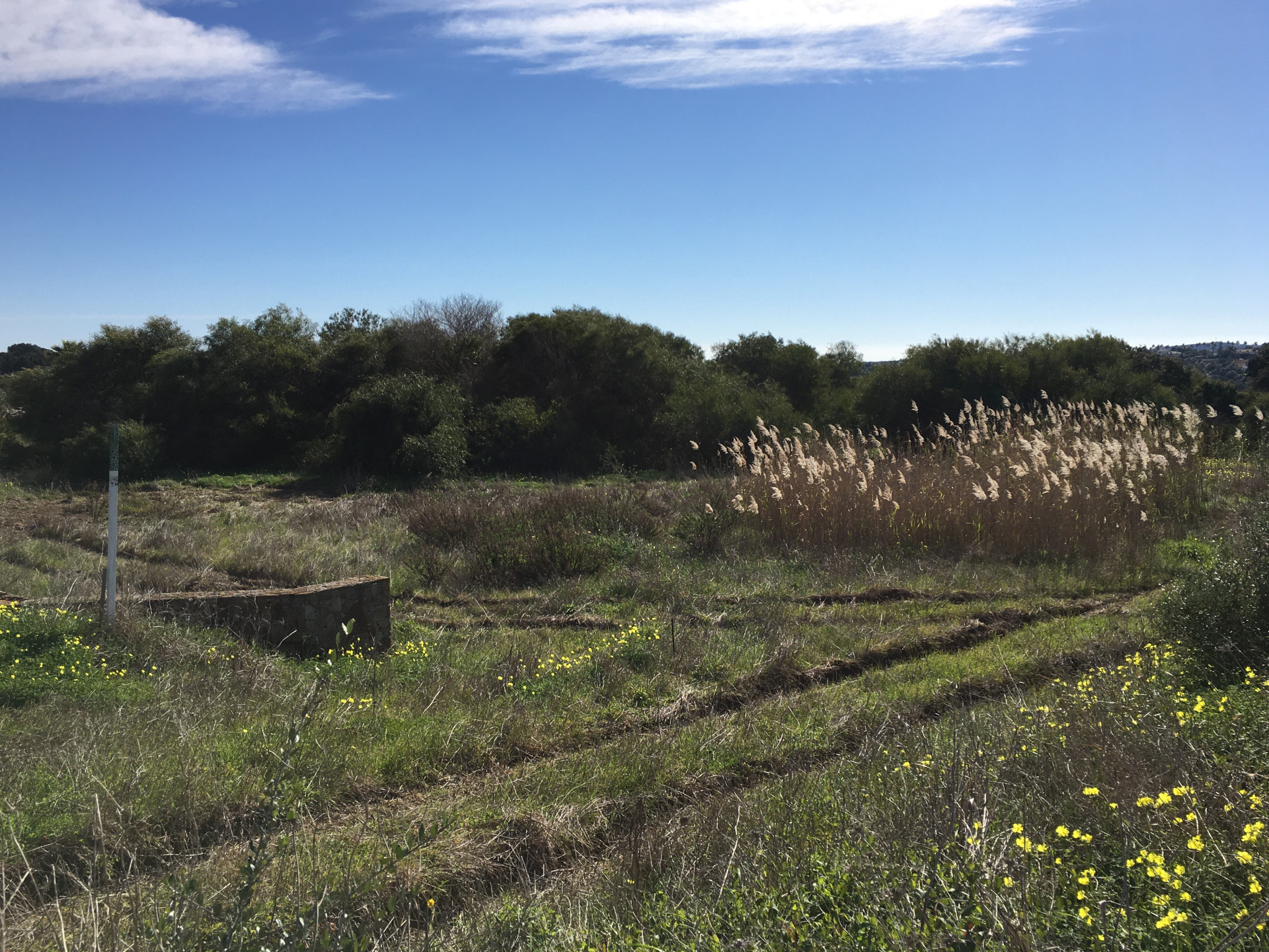 3,376 m² Plot in Sotogrande - Photo 3