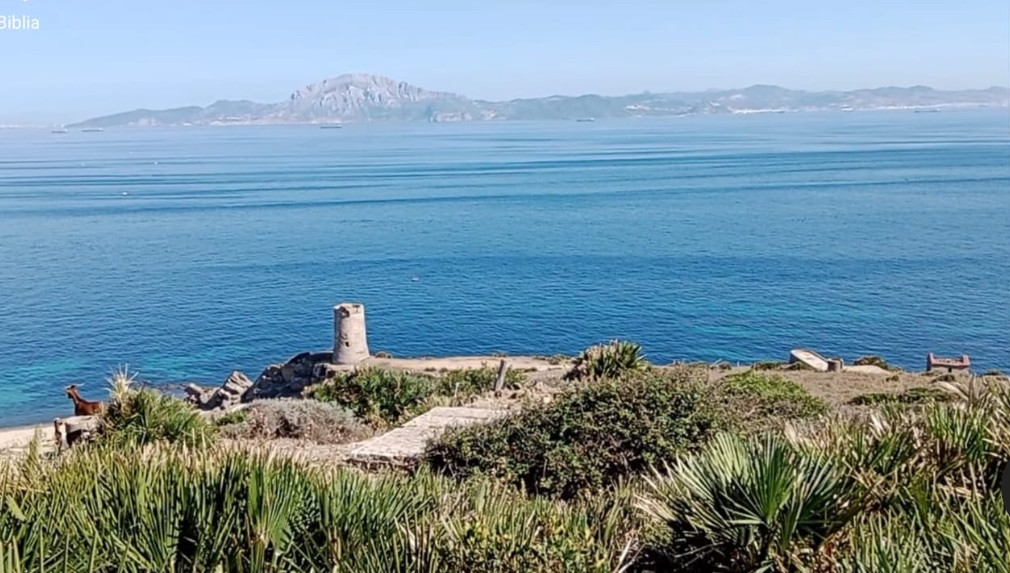 Plot in Tarifa