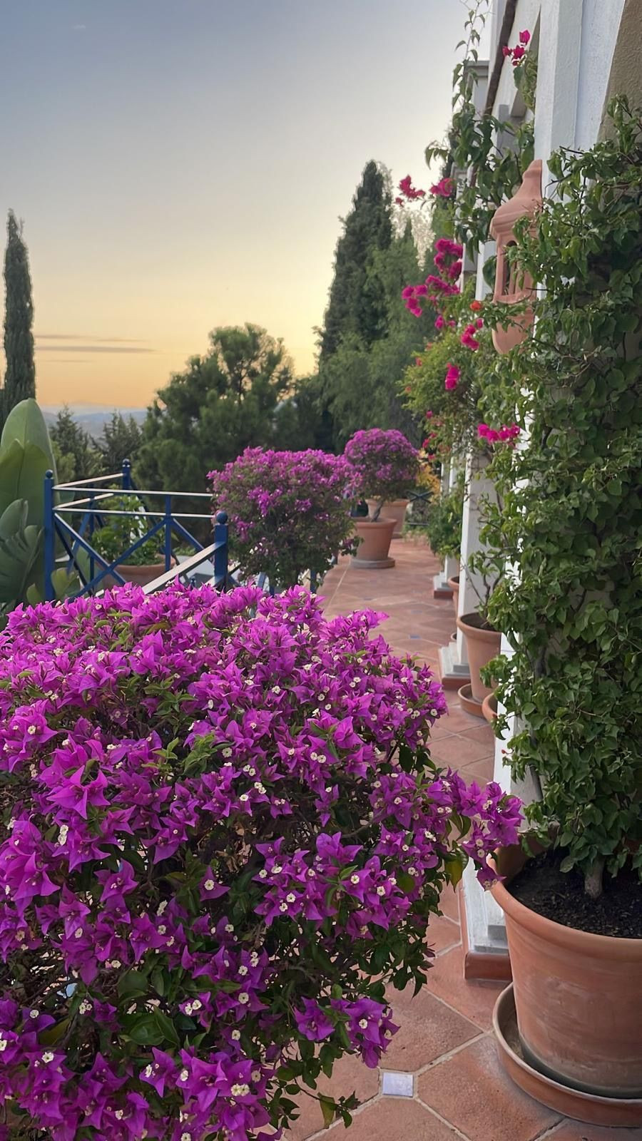 Villa con 7 camere con piscina a Malaga, Spagna – Foto 4