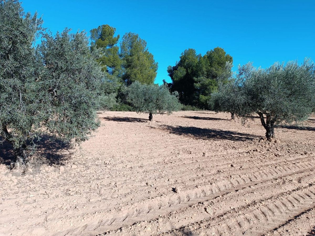 Moradia com 3 quartos em Múrcia, Espanha – Foto 18