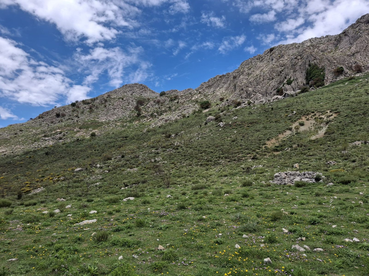 680,000 m² Plot in Alfarnatejo - Photo 21