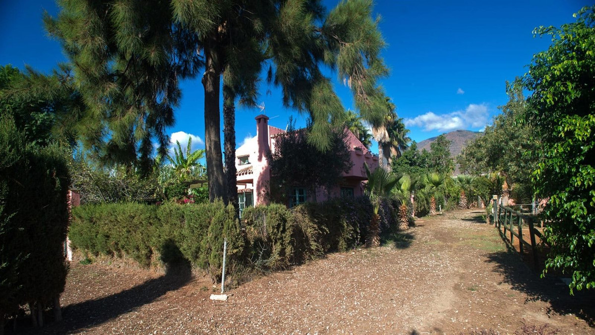 3 Bedroom Country house in Estepona - Photo 18