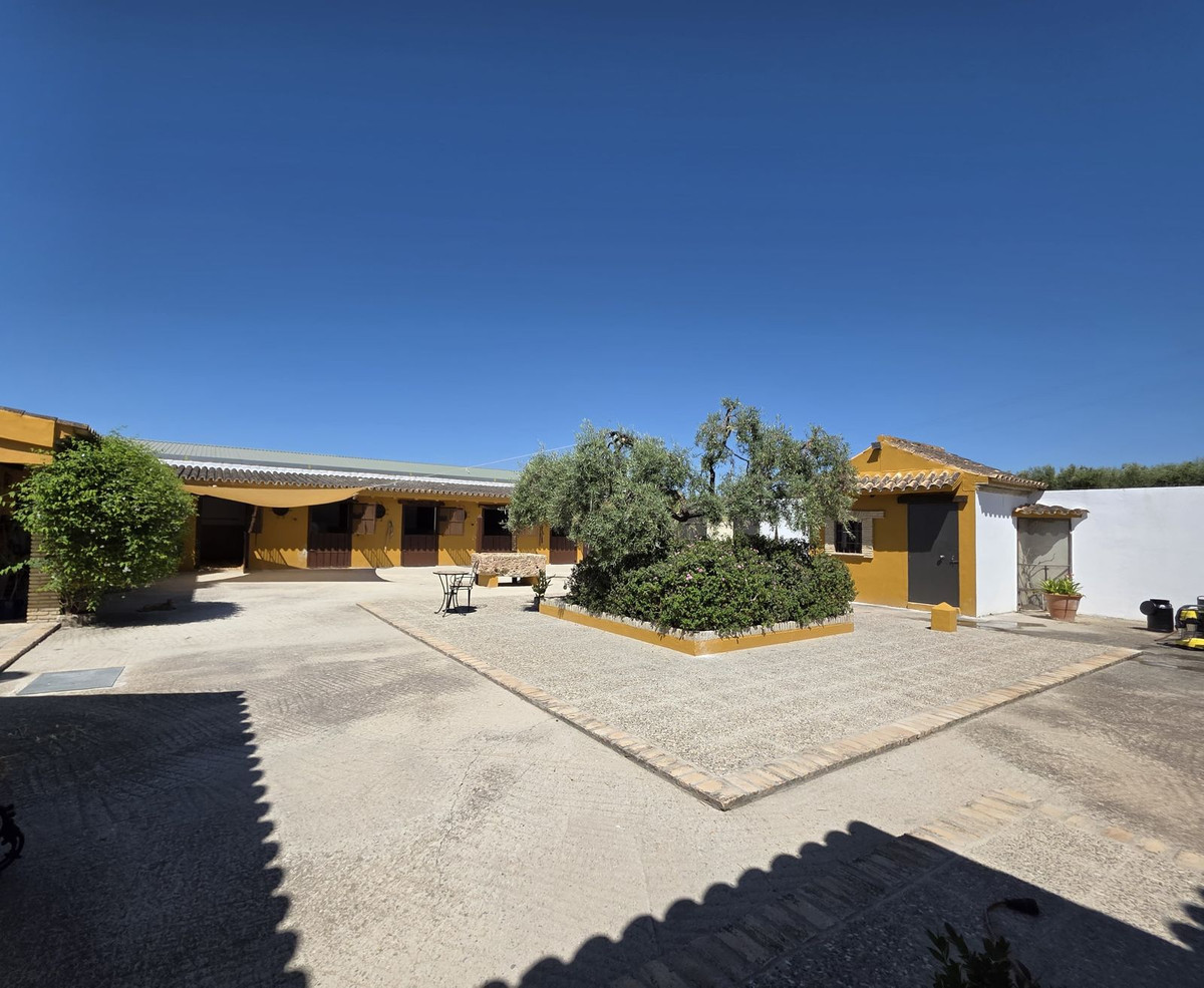 Moradia com 4 quartos com piscina em Sevilla, Espanha – Foto 4