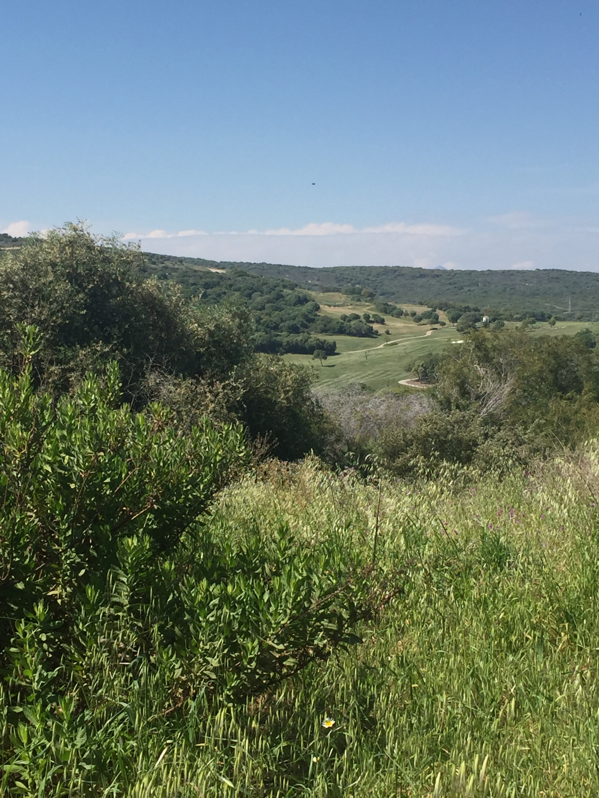 2,688 m² Plot in Sotogrande - Photo 5