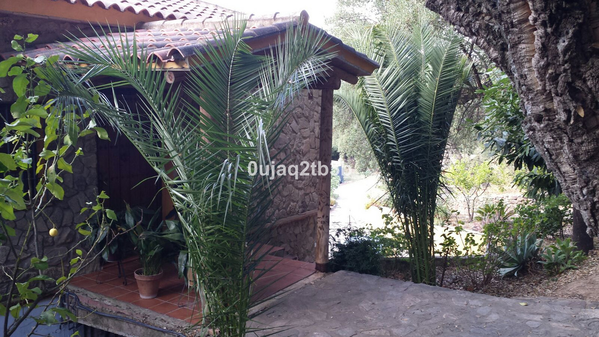 3 Bedroom Country house in Cortes de la Frontera - Foto 31