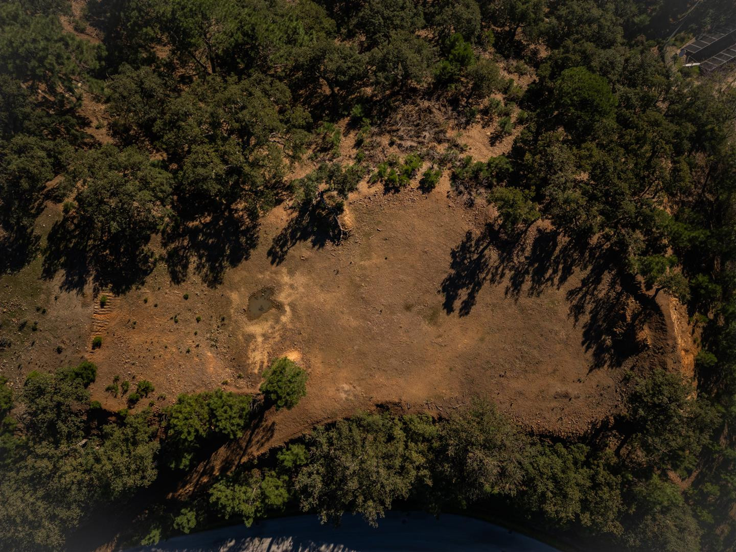 4,100 m² Plot in Benahavís - Photo 10