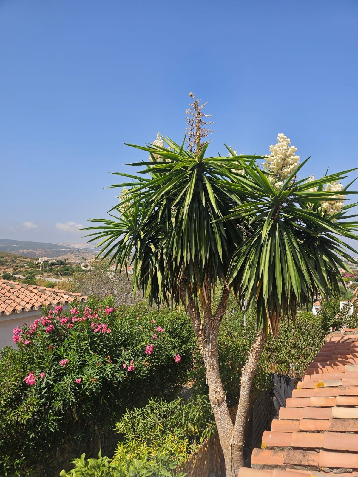3 Bedroom Villa in Manilva - Photo 4
