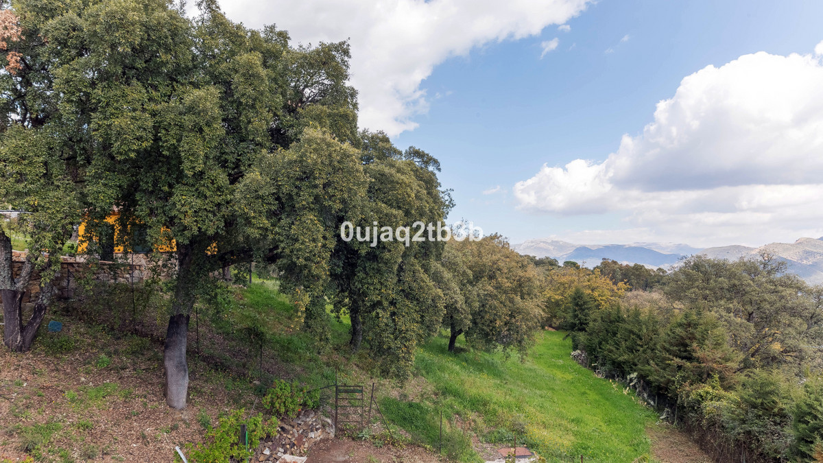 3 Bedroom Country house in Cortes de la Frontera - Foto 18