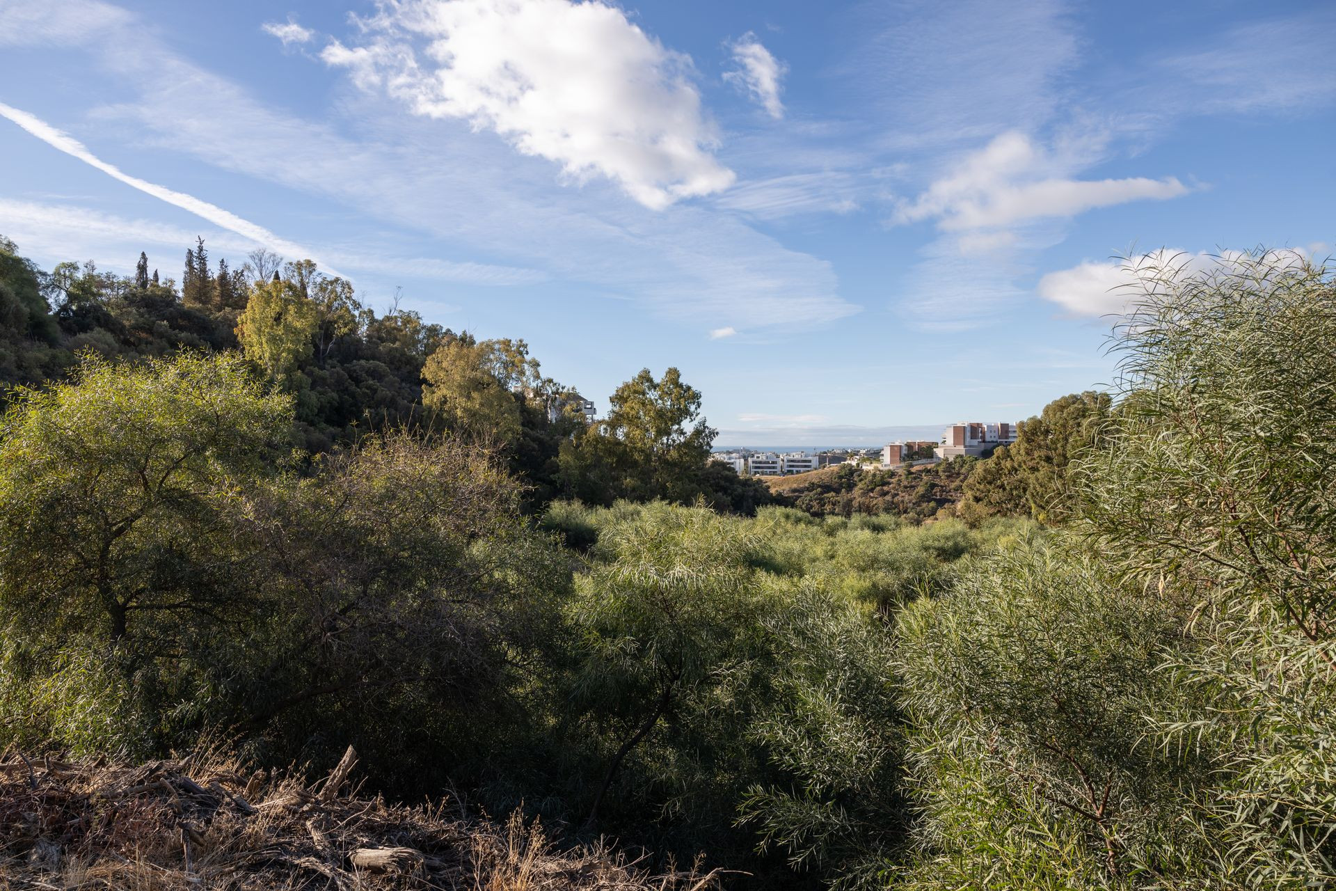 5,185 m² Plot in Benahavís - Photo 14