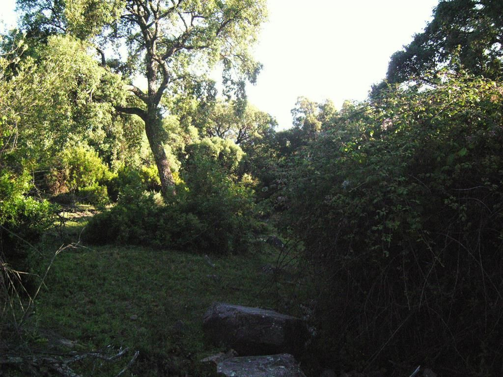 300,000 m² Plot in Cortes de la Frontera - Photo 12