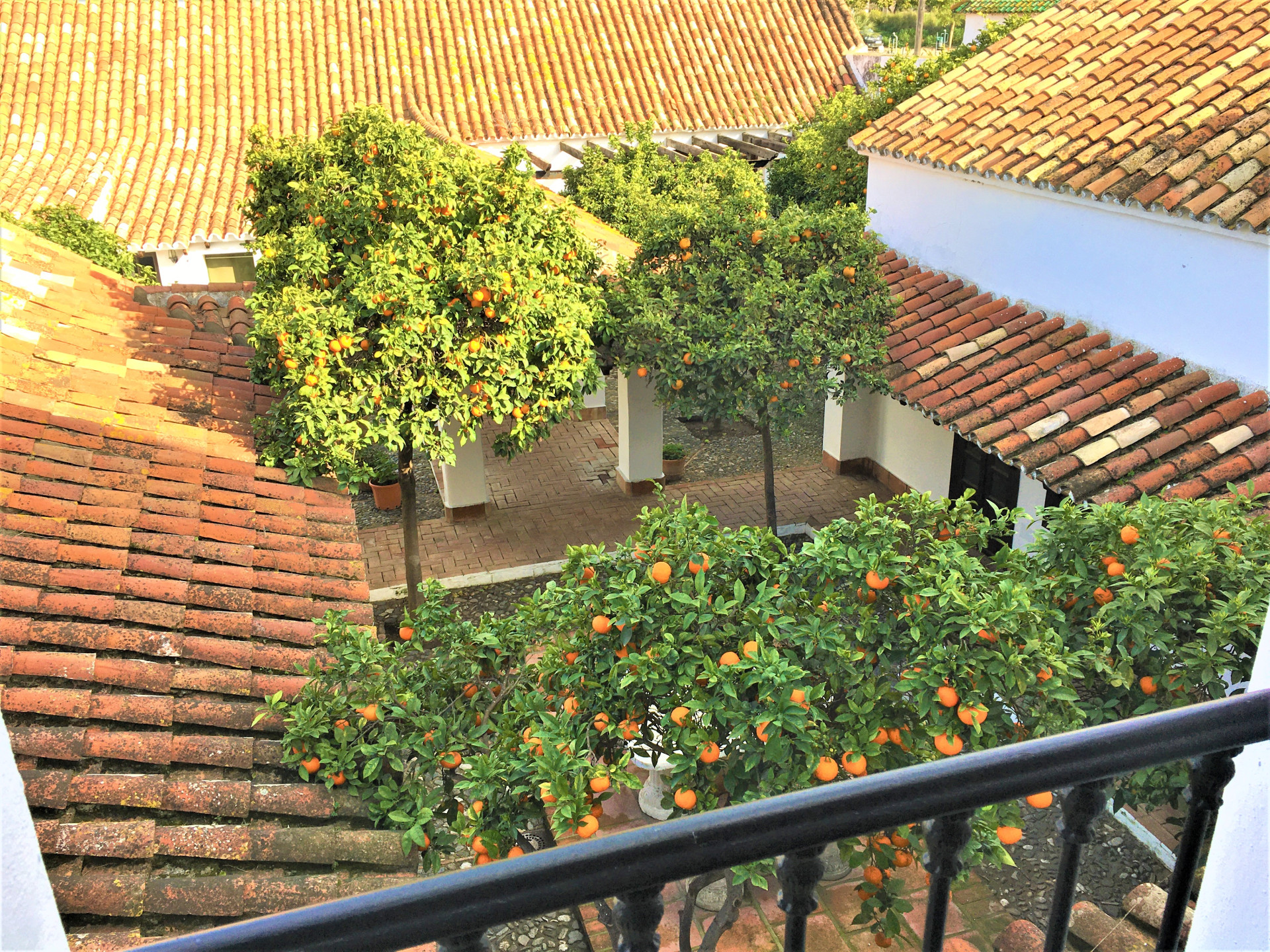 Moradia com 7 quartos com piscina em Cádiz, Espanha – Foto 8