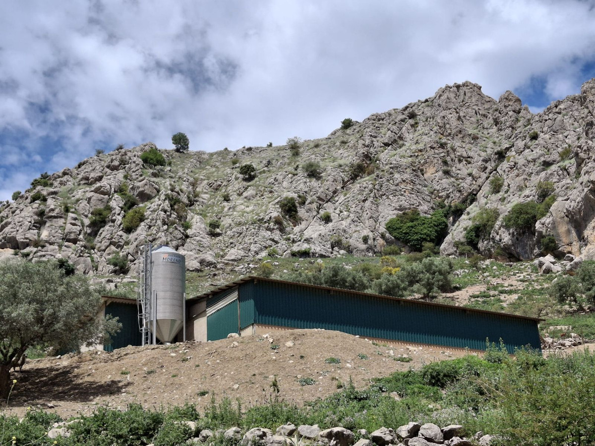 Plot in Alfarnatejo