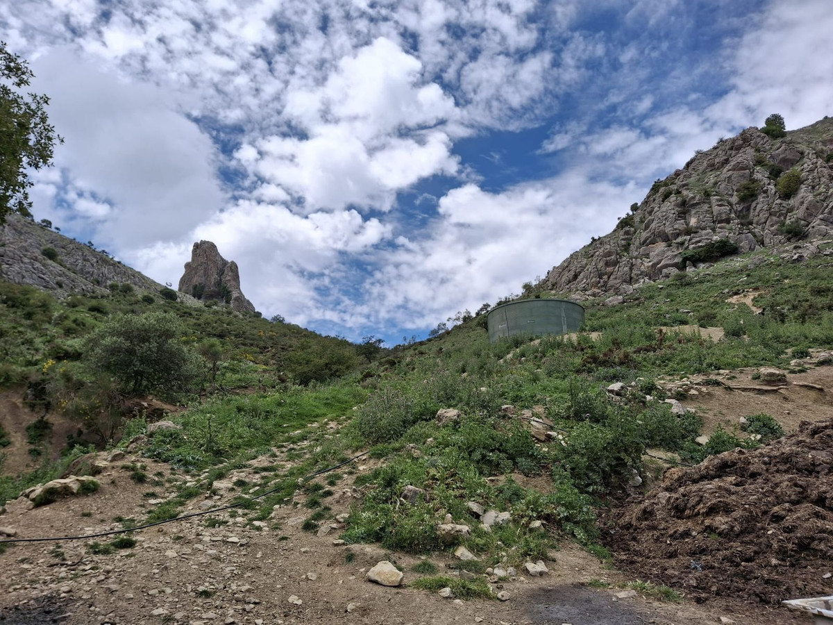 680,000 m² Plot in Alfarnatejo - Photo 13