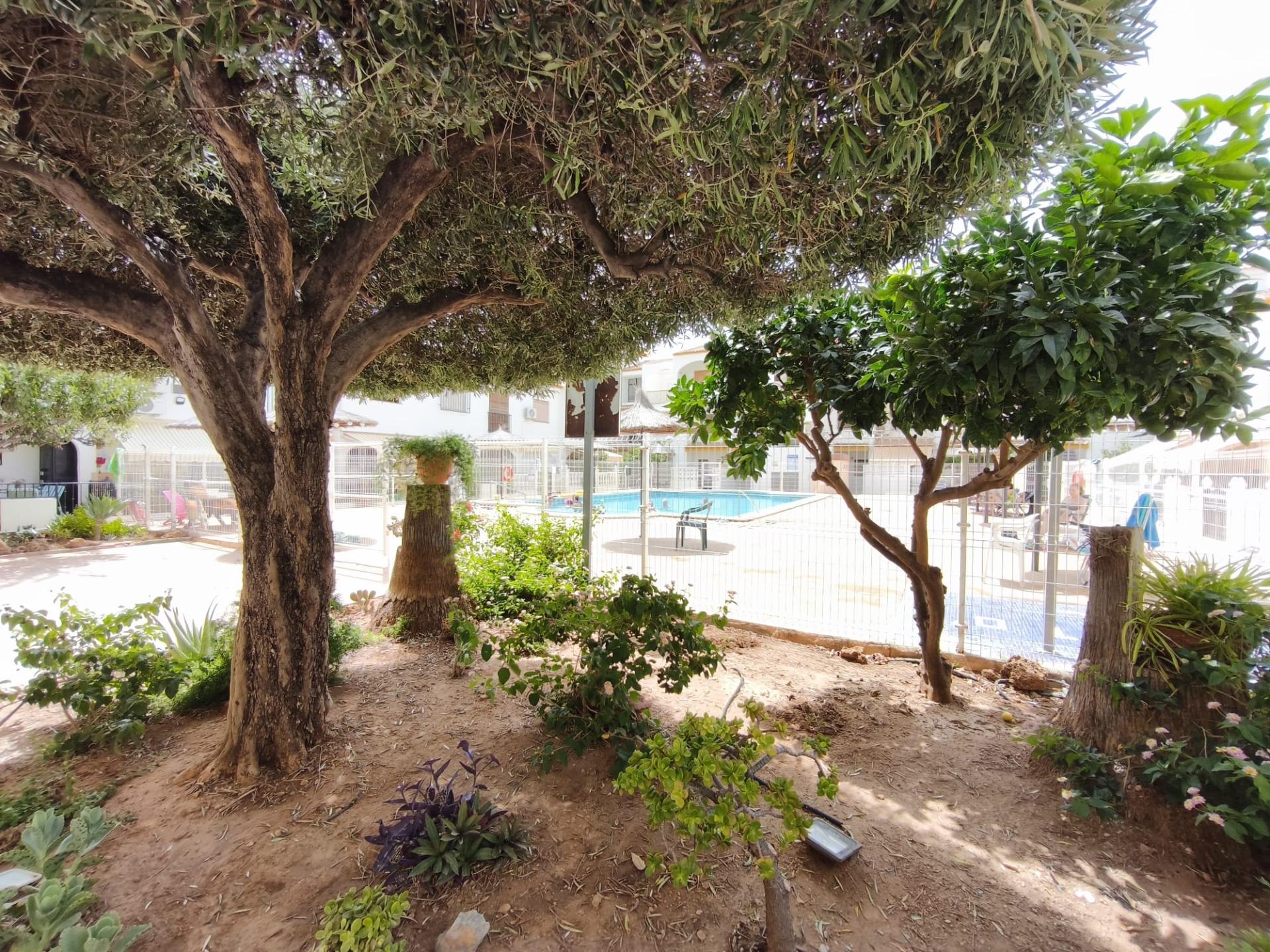 Apartamento com 1 quarto com piscina em Múrcia, Espanha – Foto 3