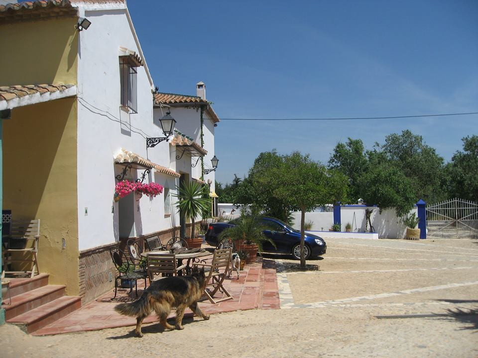 8 Bedroom Country house in Antequera - Photo 5