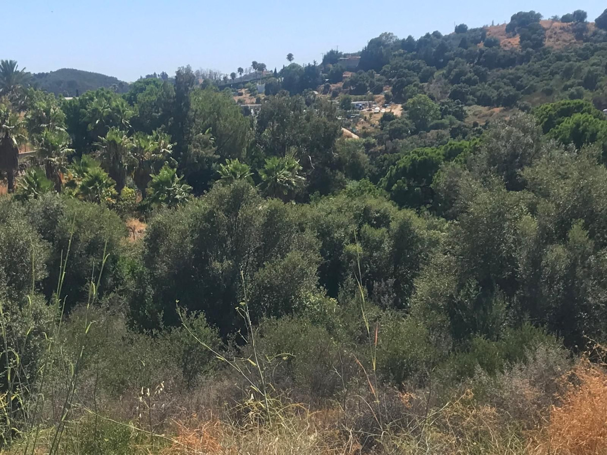 27,265 m² Plot in Estepona - Photo 5