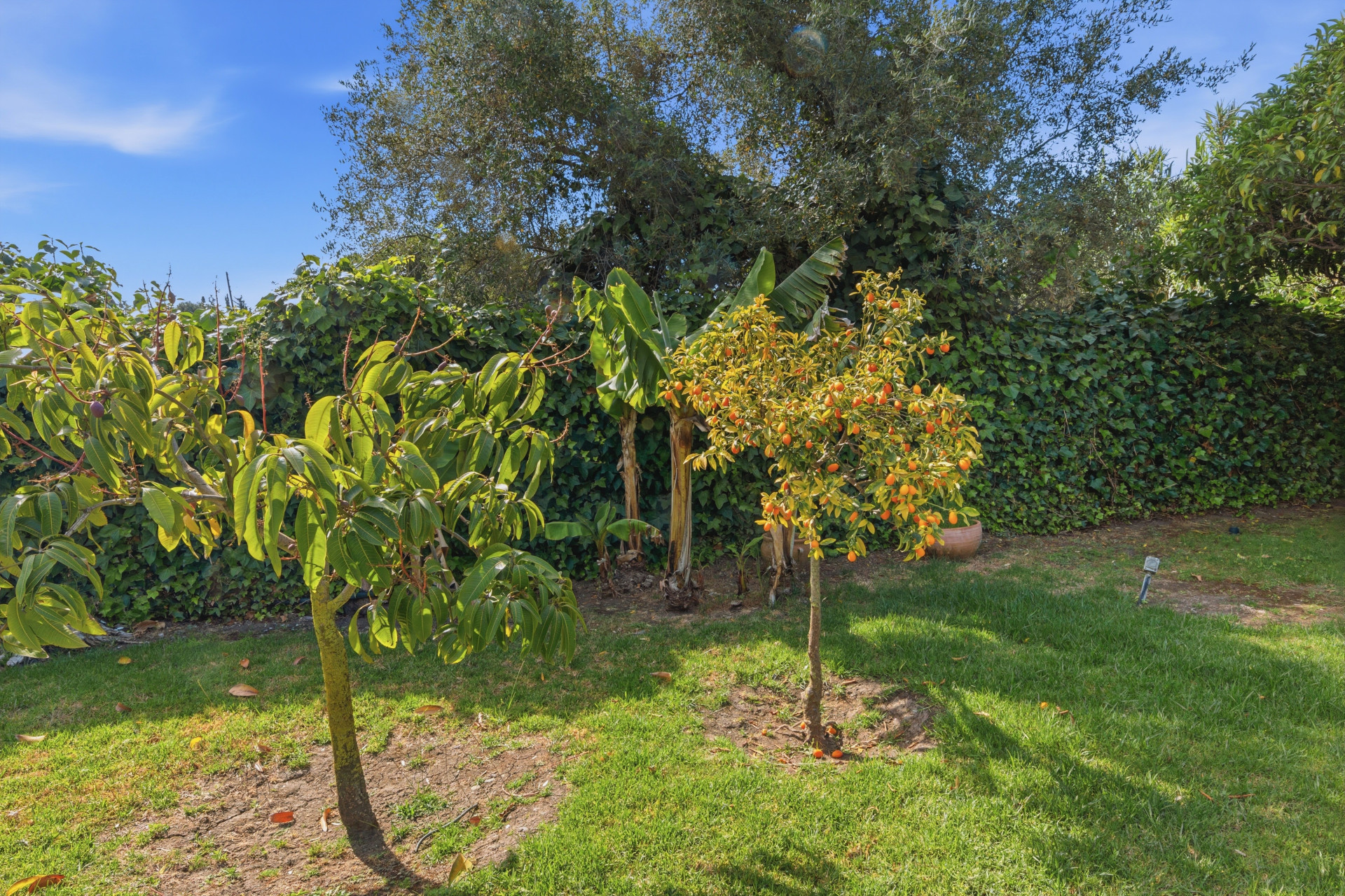2 Bedroom Country house in Estepona - Photo 19