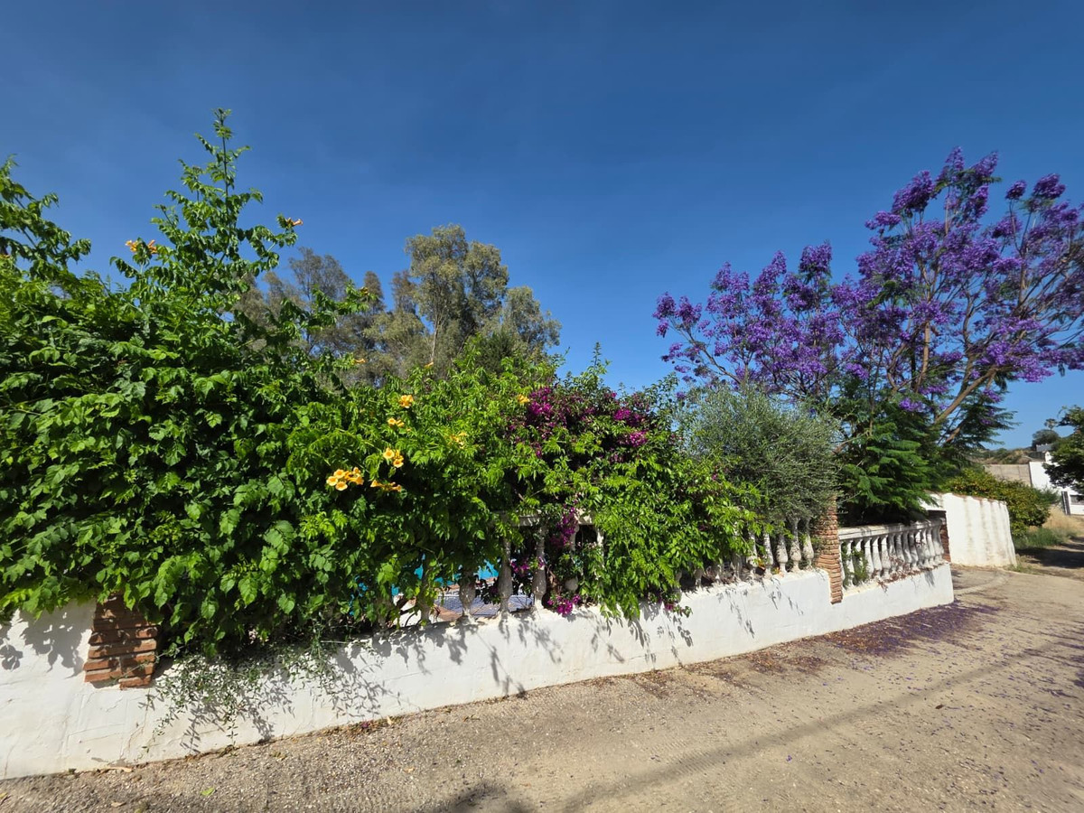 4 Bedroom Country house in Guaro - Photo 16