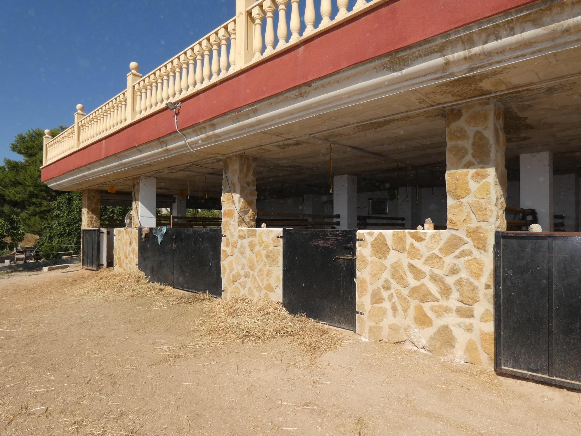 Moradia com 4 quartos com piscina em Múrcia, Espanha – Foto 21