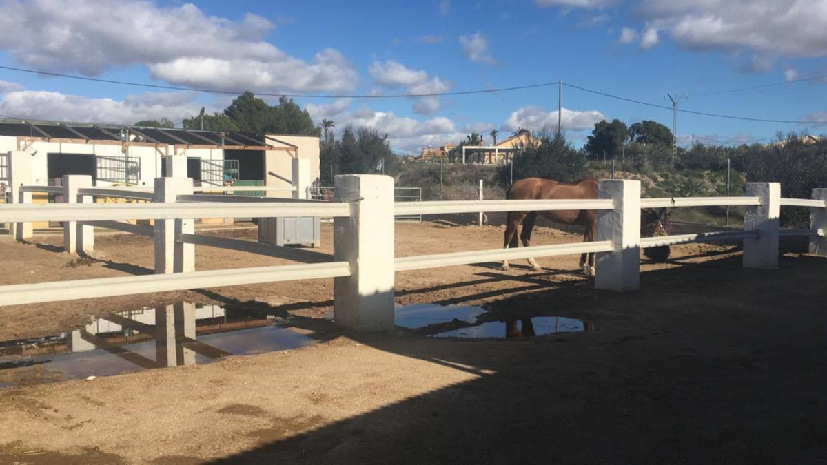 Bedrijfsruimte in Murcia, Spanje – Foto 30