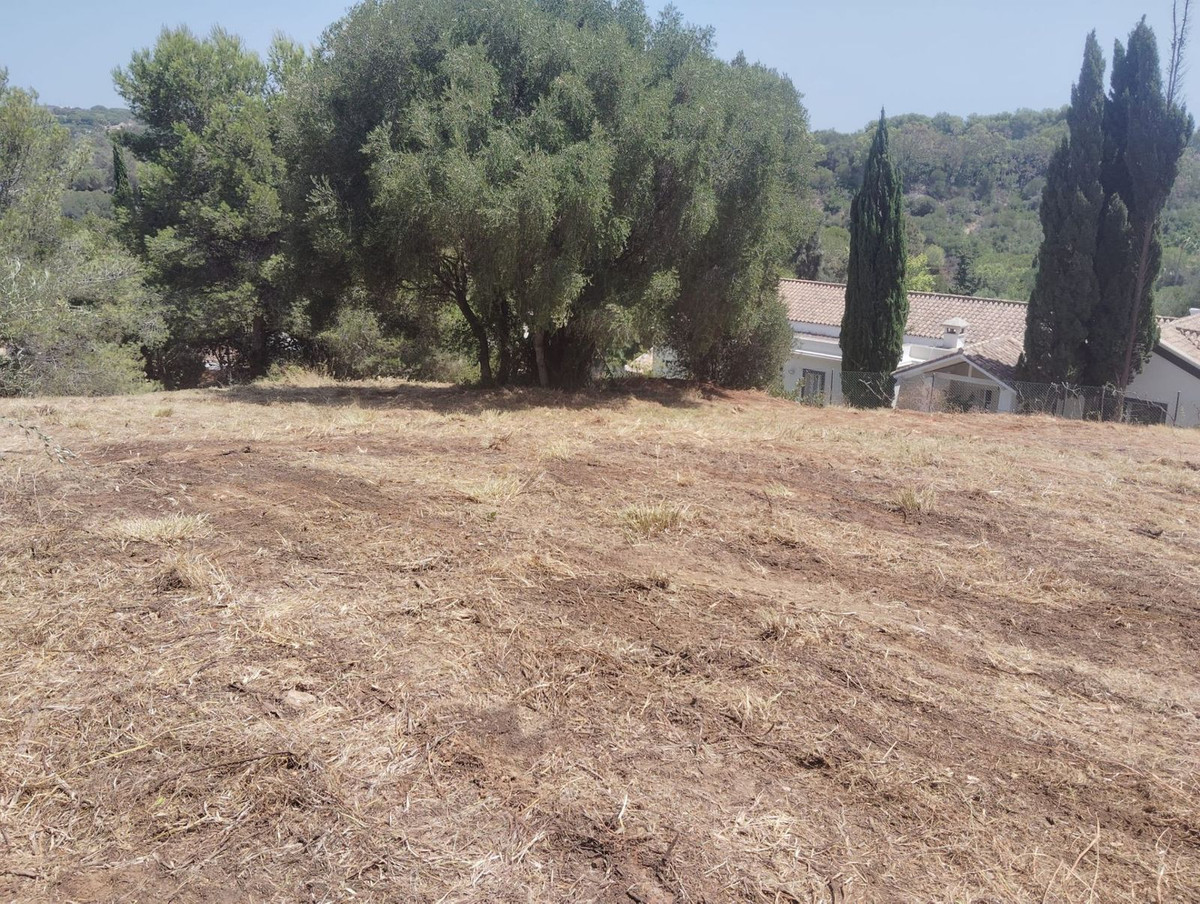 1 m² Plot in Sotogrande - Photo 5