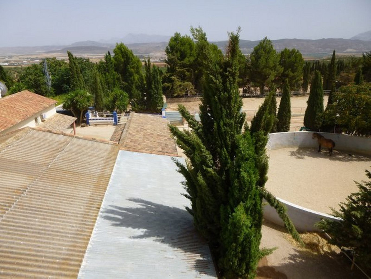 8 Bedroom Country house in Antequera - Photo 13