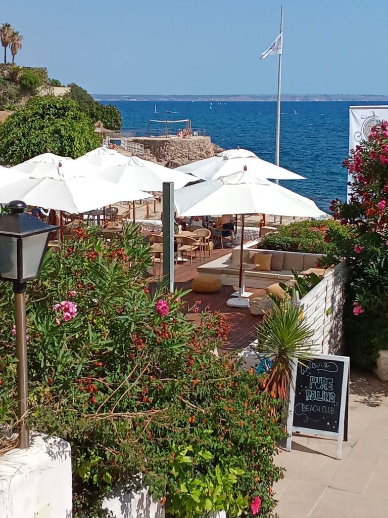 Gewerbefläche mit Pool in Balearen, Spanien – Foto 8